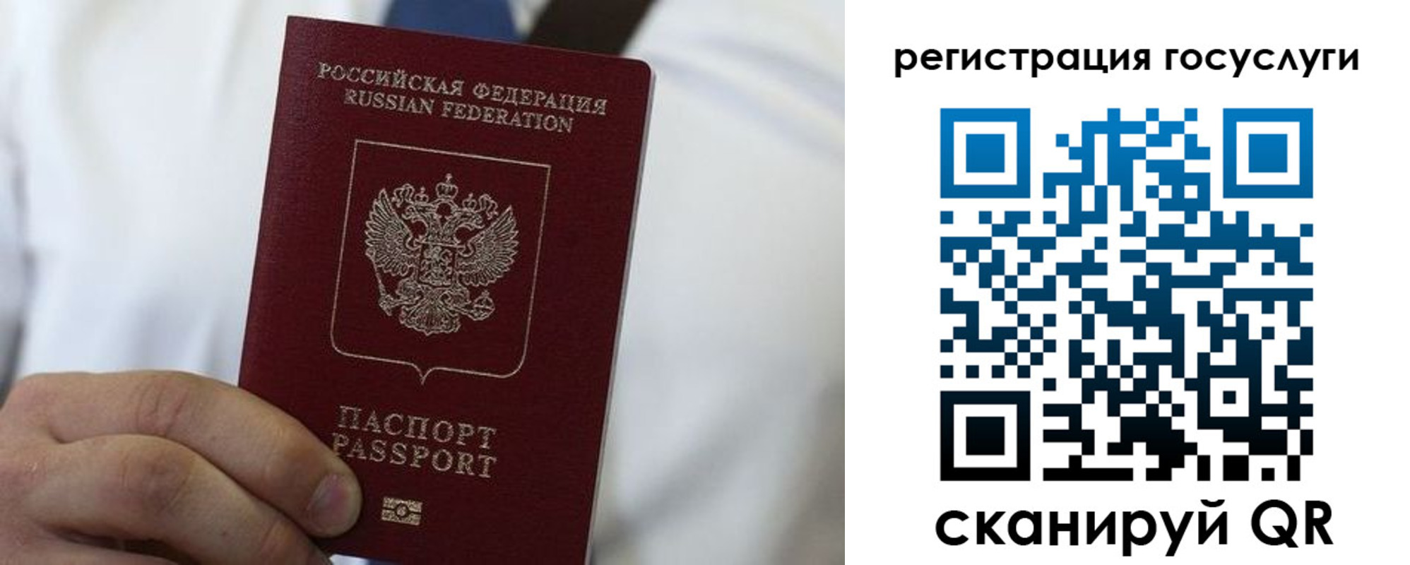прописка в Курганинске